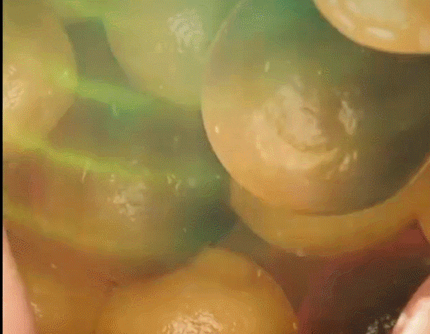1691695934448324.gif