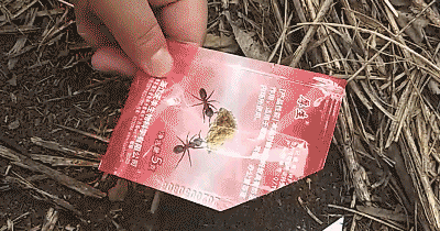 1694520068170822.gif