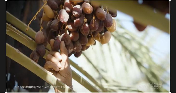 1699342882577578.png