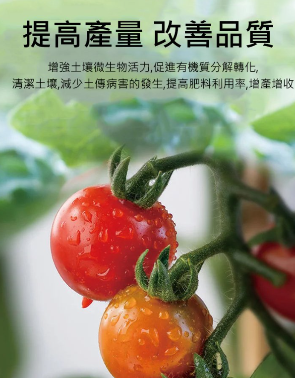 07082066f53d3f9ed883f203997cd76.png