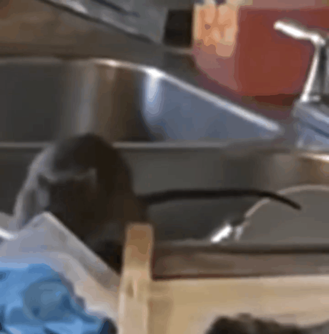 1719046660764996.gif