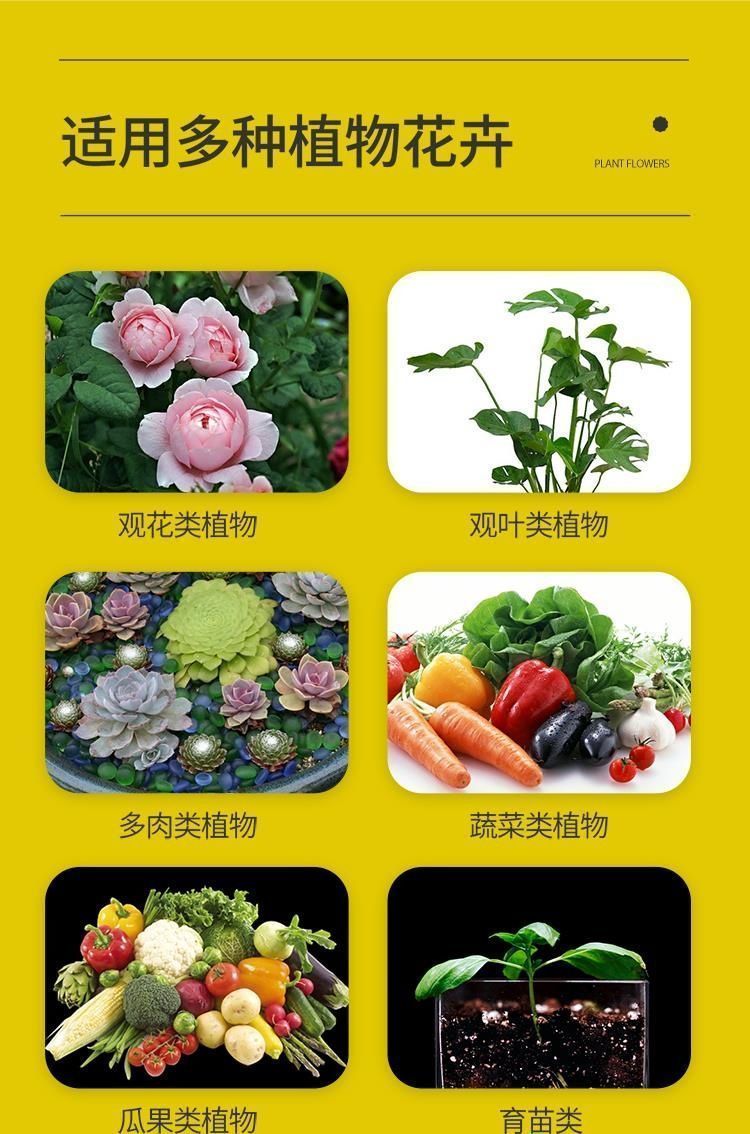 96d94fee087f41e98c22c9baa688cb40_20240929204845_691.jpg
