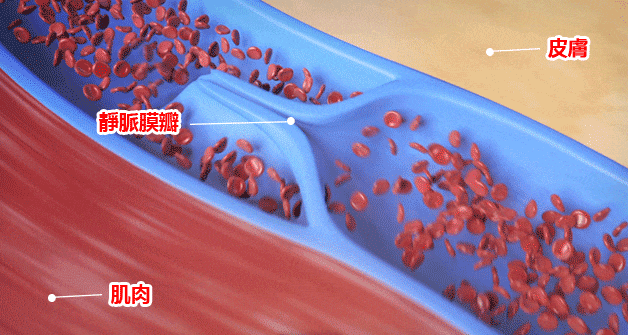a4a4079ad07c479da7d6013a8b6dda7f.gif