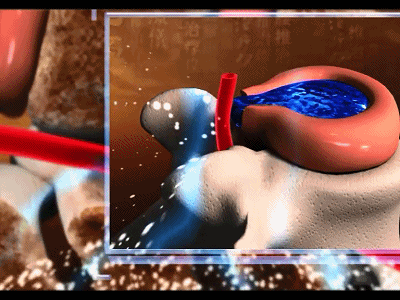 1780993256759702.gif
