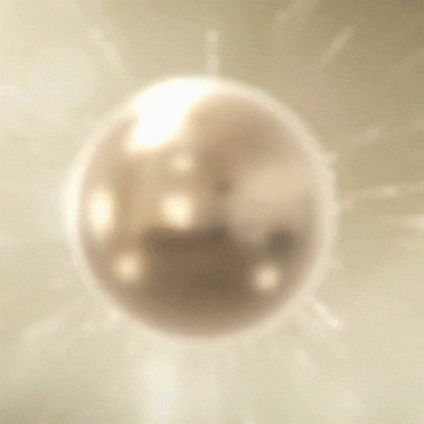 1781245441994778.gif