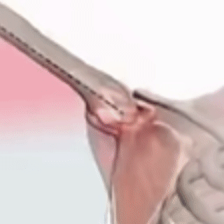 1781489849369818.gif