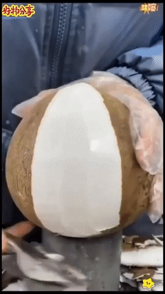 1781507641928665.gif