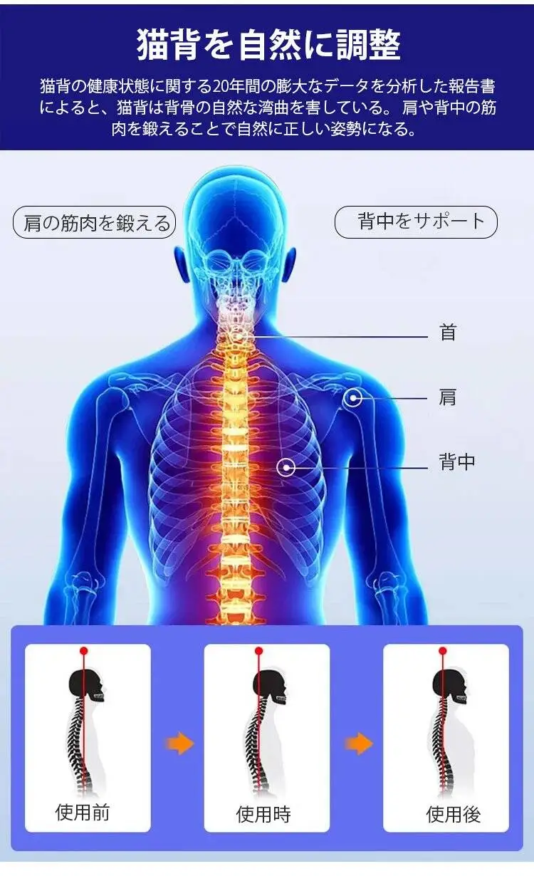 1781508897573229.webp