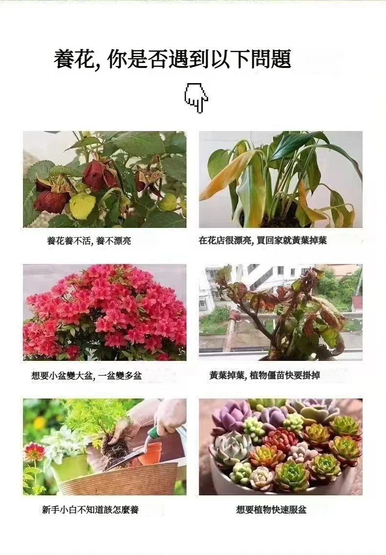 1781519611561149.webp