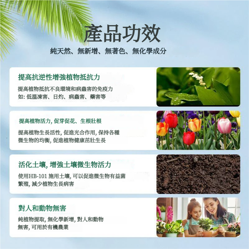 1781519618937503.webp