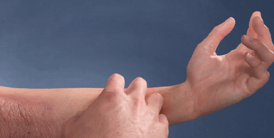 1781760130235068.gif