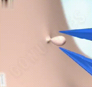1782015287103071.gif