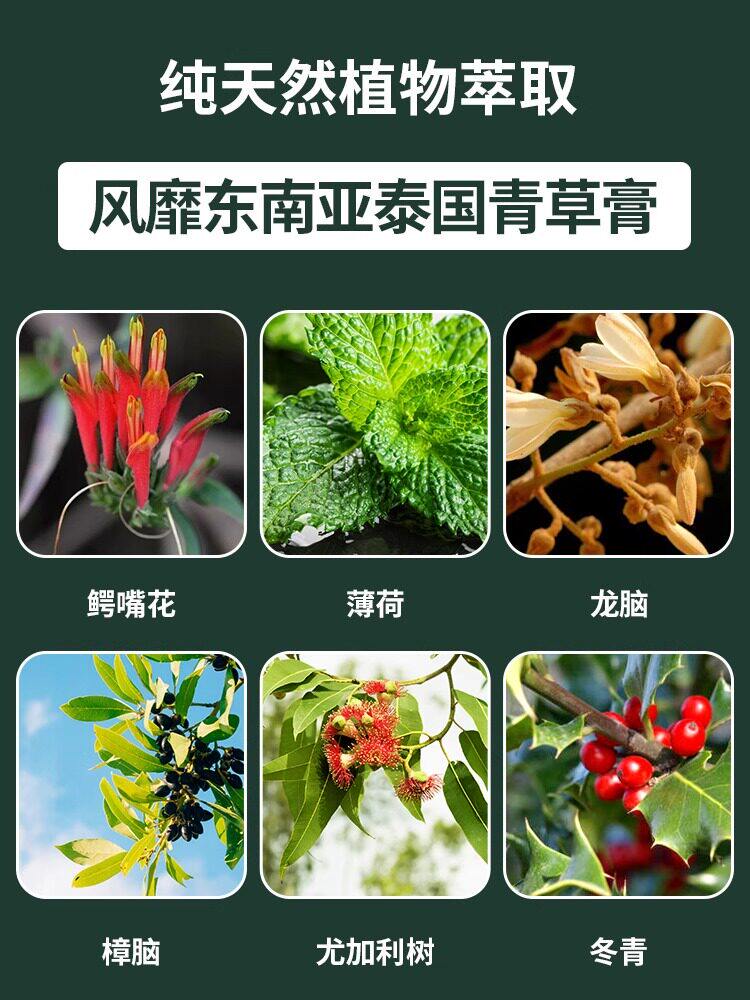 青草膏泰國原廠正品進口臥清涼綠膏防蚊蟲叮咬驅蚊止癢佛旗艦店 青草膏泰國原廠正品進口臥清涼綠膏防蚊蟲叮咬驅蚊止癢佛旗艦店