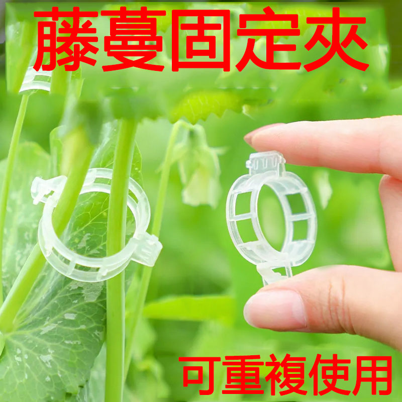 蔓藤夾植物瓜果植物夾塑料綁蔓夾綁枝夾吊蔓夾扶蔓夾蔓藤固定夾